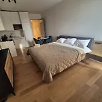 Holesovice Luxury *