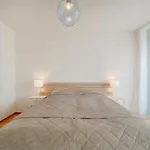 Holesovice Luxury Apartment Prague