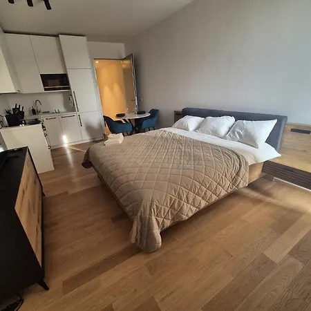 Holesovice Luxury *